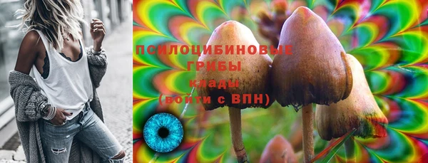 МДПВ Армянск