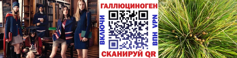 Псилоцибиновые грибы ЛСД сколько стоит Урень